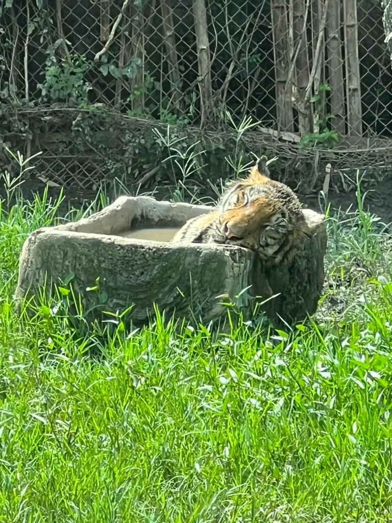 bangkok-05