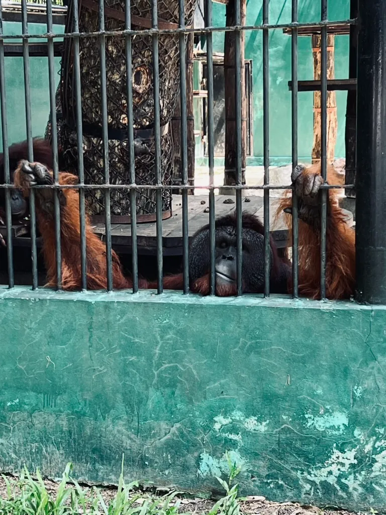 bangkok-09