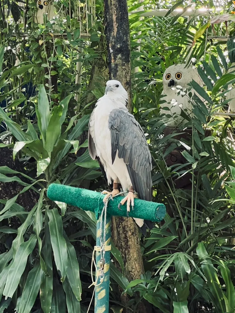 bangkok-15