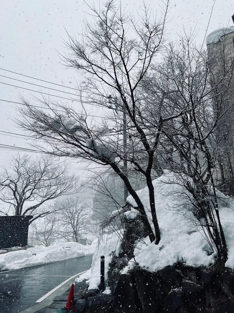 yuzawa-06